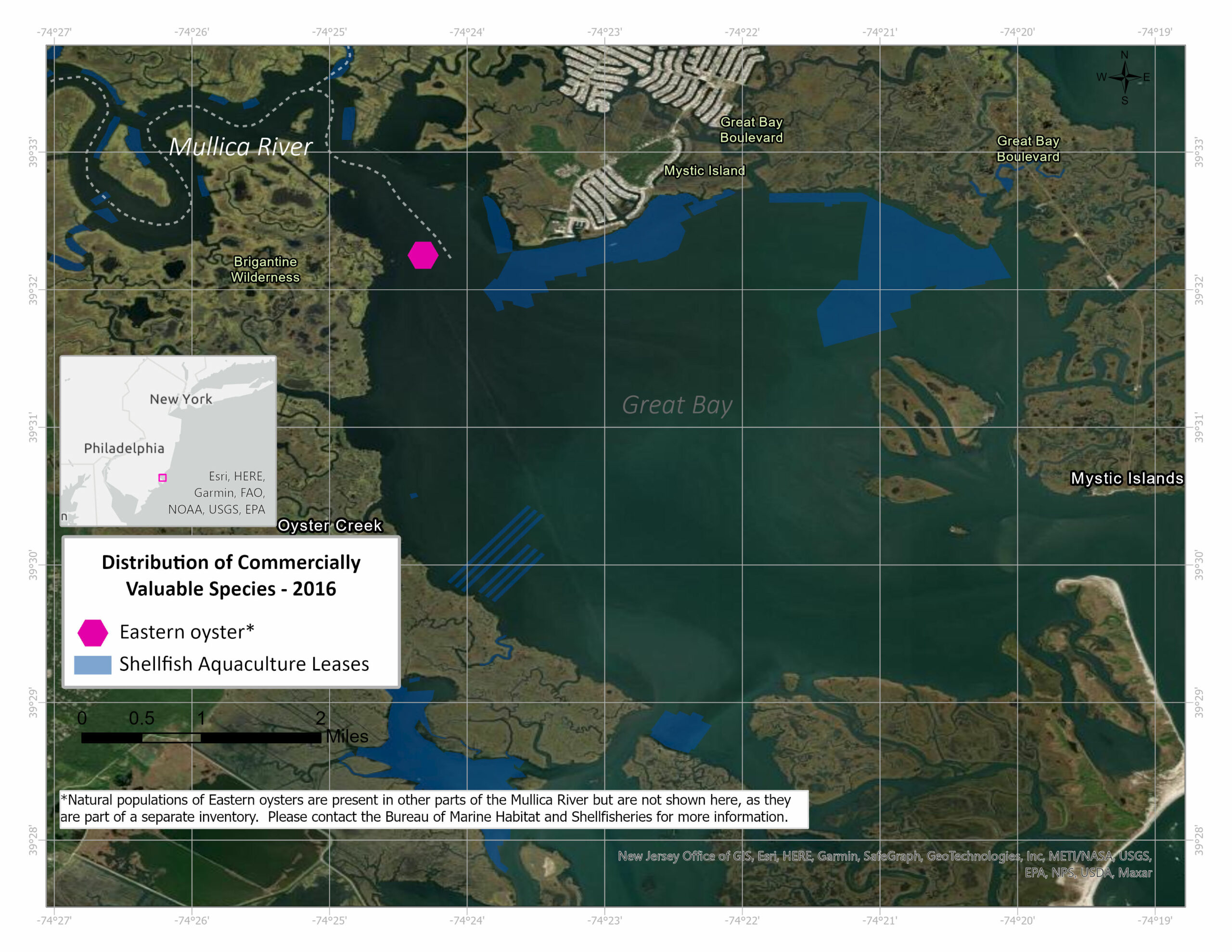 NJDEP| Watershed & Land Management | Maps