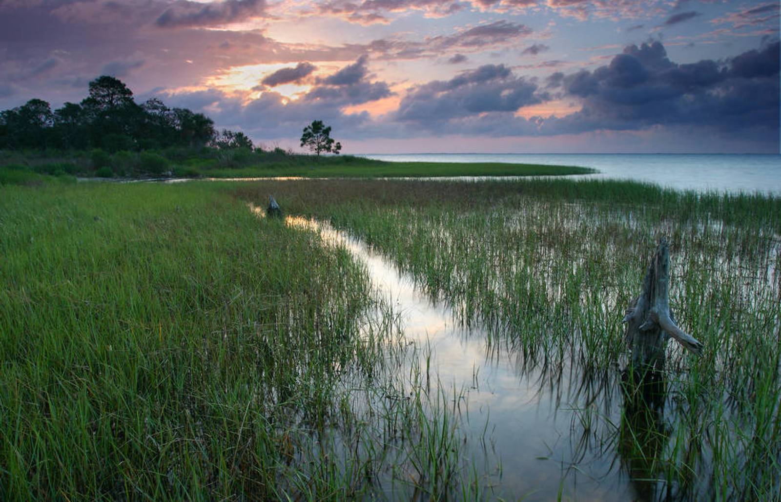 NJDEP| Watershed & Land Management | Watershed Protection