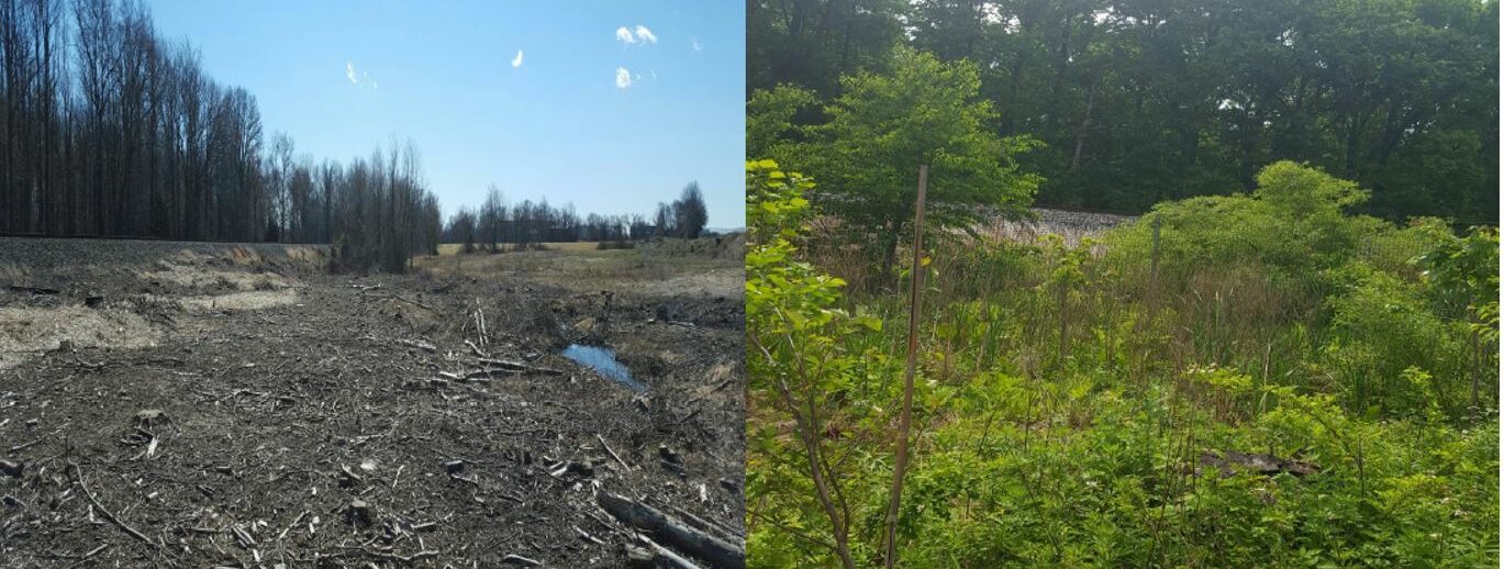 NJDEP| Watershed & Land Management | Success Stories