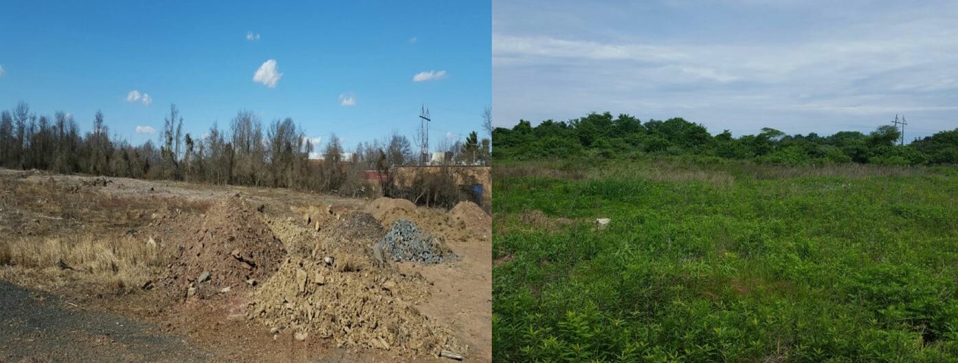 NJDEP| Watershed & Land Management | Success Stories