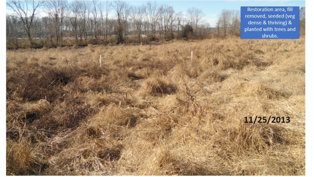 NJDEP| Watershed & Land Management | Success Stories