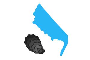 Delaware Bay Shellfish Council